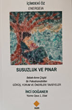 imizdeki z